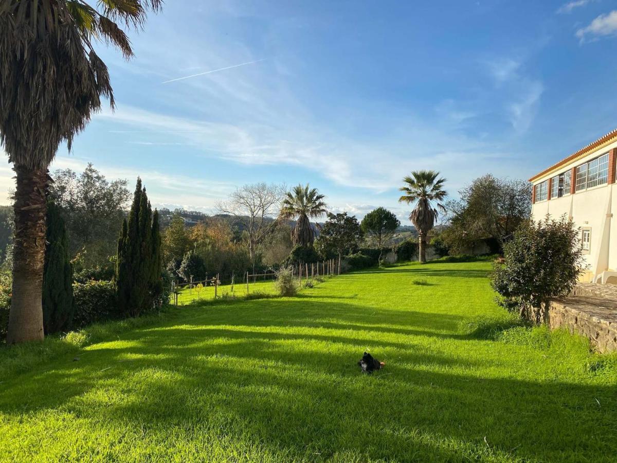 Vida-Vi, Country House And B&B Carvalhal Bemfeito Exterior foto